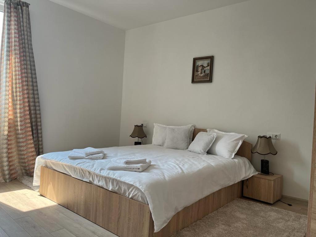Sabina Apartaments Sfântu-Gheorghe Exterior foto